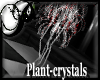 !P!Plant-Crystal