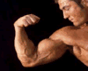 Resize Arm Muscles +20%