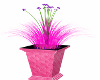 ~D~ Orchid Plant Animate