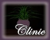 Luxury Clinic Plant II