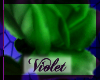 (V) green rose