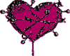 XTN icon Heart