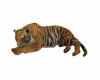 Brown Tiger Cuddle