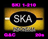 SKA Indo SKI1-210