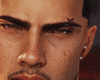 bravo brows