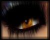 [CG] Bronze Eyes