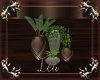 Luxery Plants