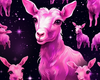 💞 goat background