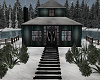 Small Winter cottage