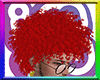 [k] McD Hair