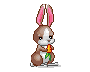bunny and carrot