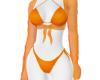 Orange Beachy Bikini