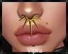 Hoop Gold Spike Zell