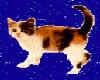 Calico Kitten Animated
