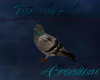 (T)Pigeon