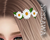 NZ!! Hair clip DS!!