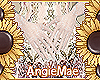 AM* Aura Gloves