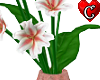 Flower - Lily Vase