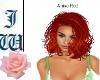 JW Aniya Red