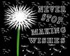 NEVER STOP MAKING WISHES