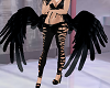 Lower Black Wings