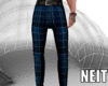 NT M Fall Blue Pants
