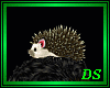 *Hedgehog On Head  /Pet