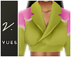 v. Iconic Blazer