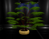 CCP Potted Plant