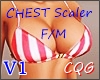 CHEST Scaler V1