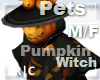 R|C Pumpkin Witch 2 M/F