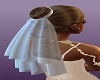 Wedding Hair & Veil