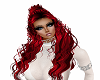 *wc* blazen red 2102