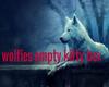 wolfies empty kitty bo