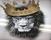 Fond tel Lion King