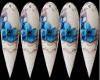 WhiteBlueFlowerNails