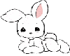 White Bunny