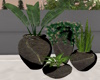 J|Decorative Plant Set 2