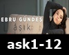G*Ebru Gundes-Ask