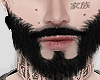 FF. Beard Mesh