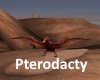 [BD]Pterodacty