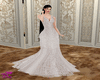 Wedding Dress Collection