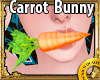Carrot Eat Bunny Furry