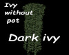 [MTOP]Dark green without