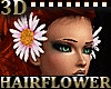 Daisy HairFlower R & L