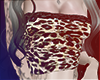Cheeta v1