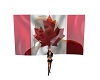 canadian flag light