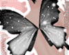 Loe// Butterfly wings BK
