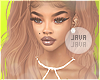 J | Paola carrot