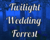 Twilight Wedding Room